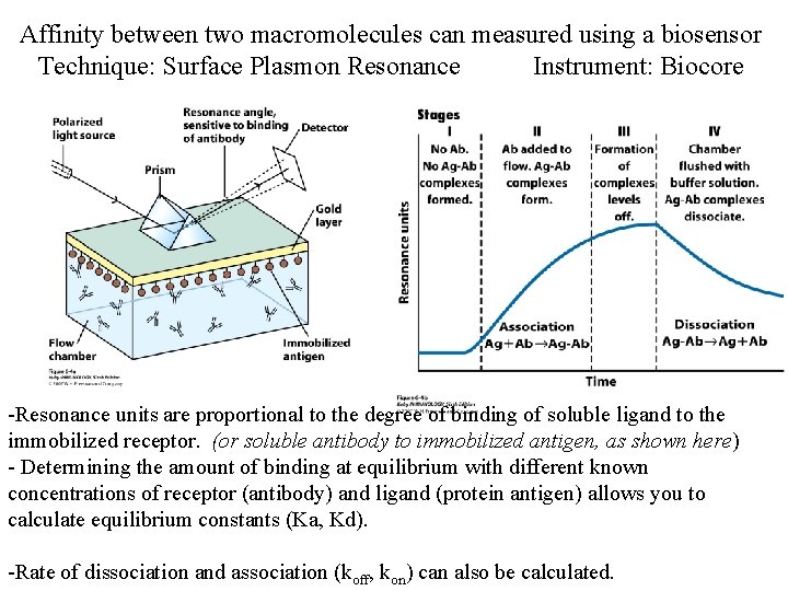 Affinity between two macromolecules can measured using a biosensor Technique: Surface Plasmon Resonance Instrument: