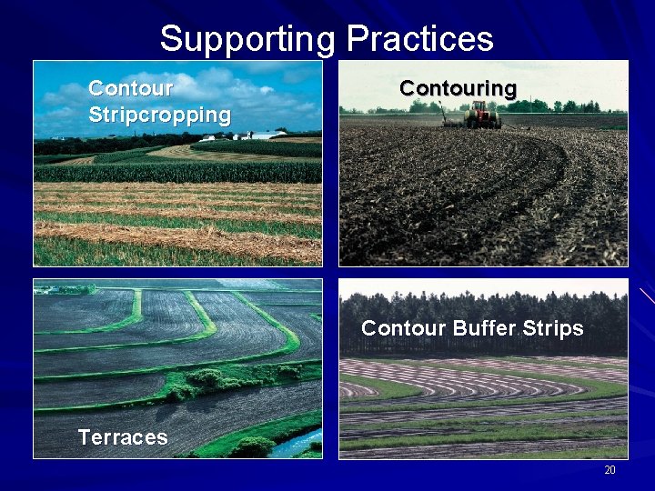 Supporting Practices Contour Stripcropping Contour Buffer Strips Terraces 20 