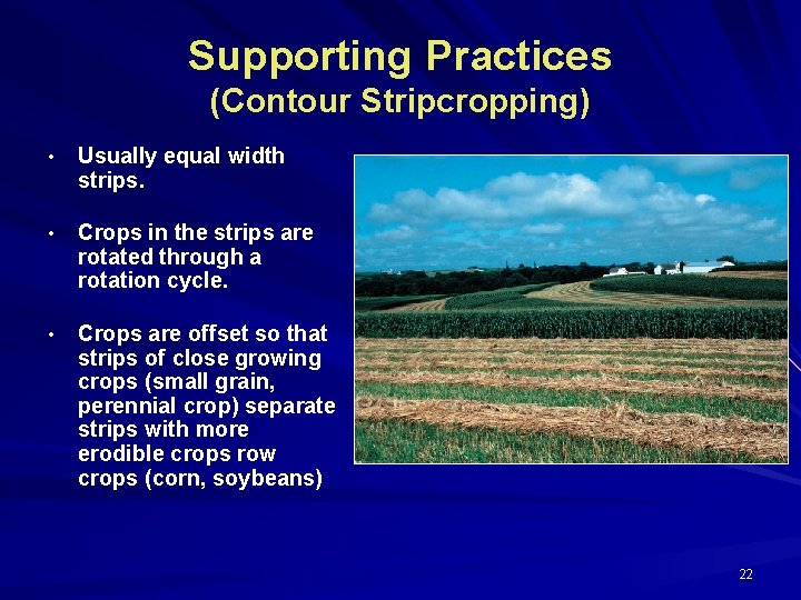 Supporting Practices (Contour Stripcropping) • Usually equal width strips. • Crops in the strips