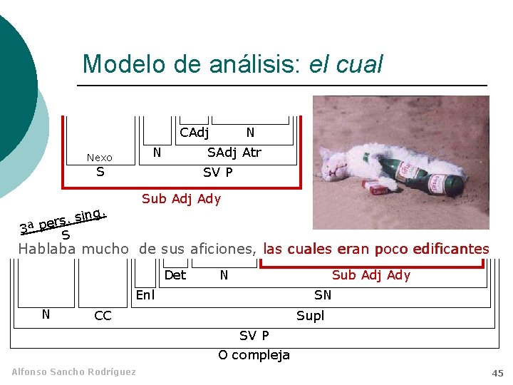 Modelo de análisis: el cual CAdj N Nexo N SAdj Atr S SV P