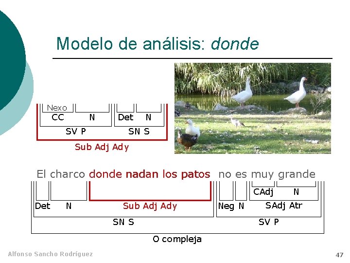 Modelo de análisis: donde Nexo CC N SV P Det N SN S Sub