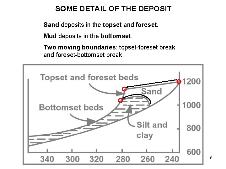 SOME DETAIL OF THE DEPOSIT Sand deposits in the topset and foreset. Mud deposits