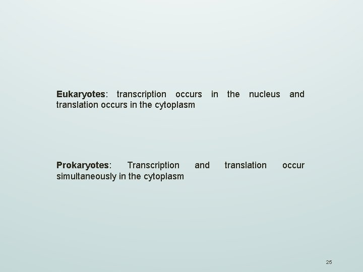 Eukaryotes: transcription occurs in the nucleus and translation occurs in the cytoplasm Prokaryotes: Transcription