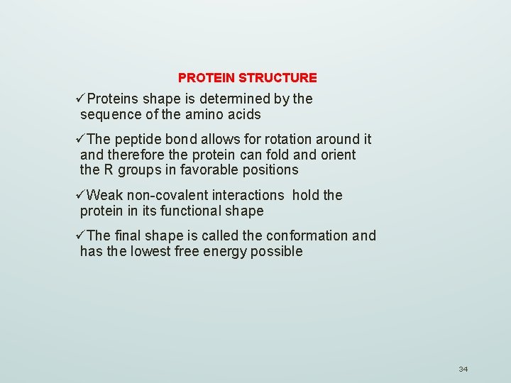 PROTEIN STRUCTURE üProteins shape is determined by the sequence of the amino acids üThe