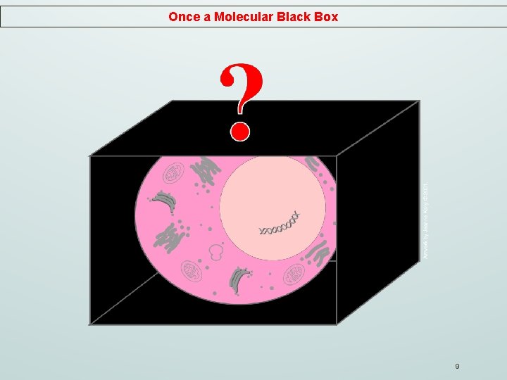 Once a Molecular Black Box 9 