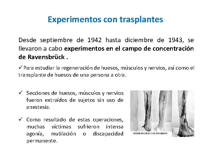 Experimentos con trasplantes Desde septiembre de 1942 hasta diciembre de 1943, se llevaron a