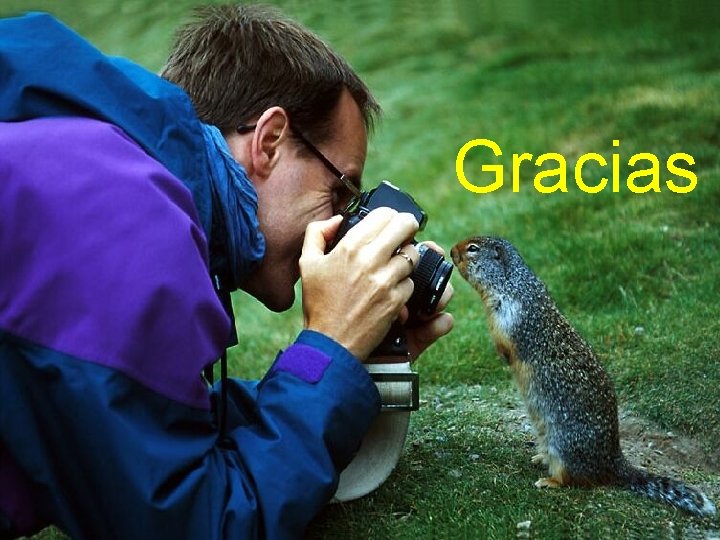 Gracias 