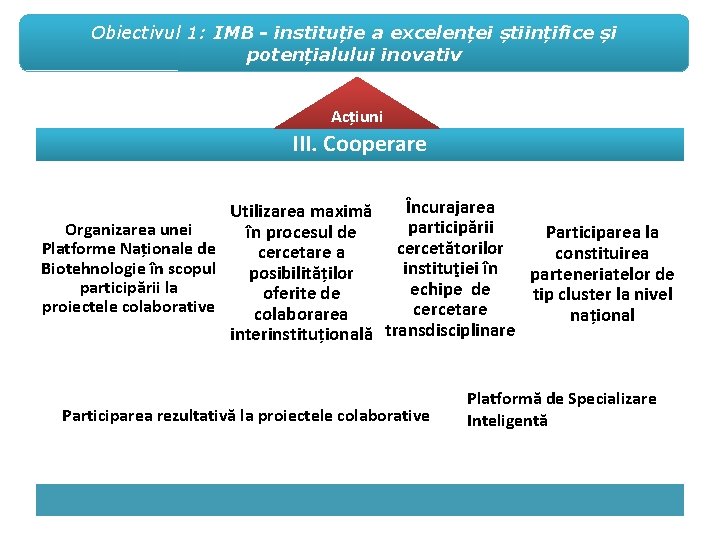 Obiectivul 1: IMB - instituție a excelenței științifice și potențialului inovativ Acțiuni III. Cooperare