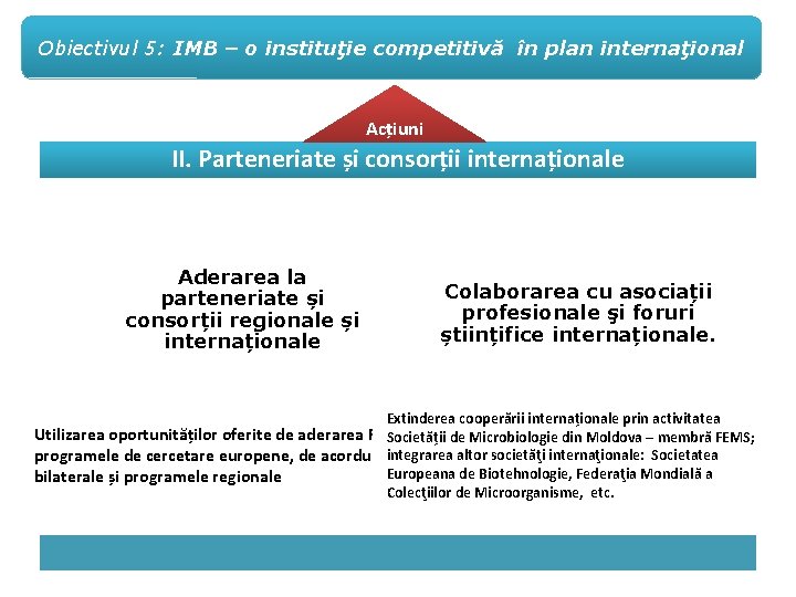 Obiectivul 5: IMB – o instituţie competitivă în plan internaţional Acțiuni II. Parteneriate și