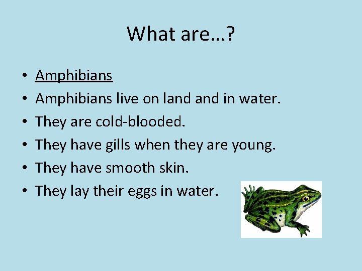 What are…? • • • Amphibians live on land in water. They are cold-blooded.