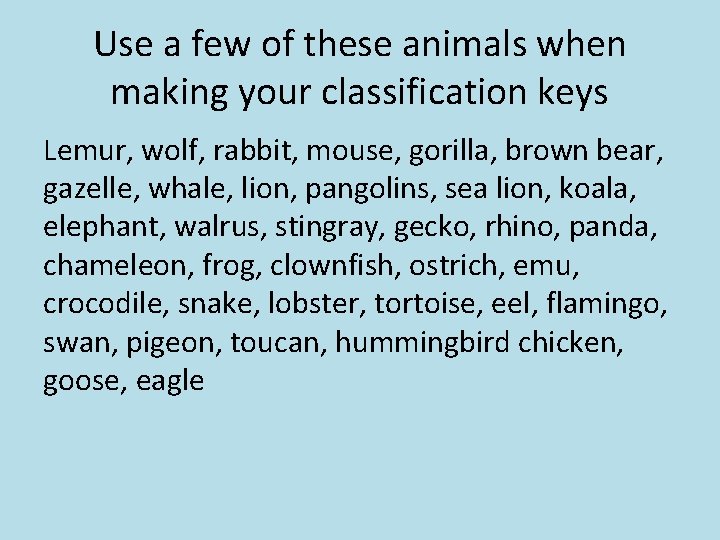 Use a few of these animals when making your classification keys Lemur, wolf, rabbit,