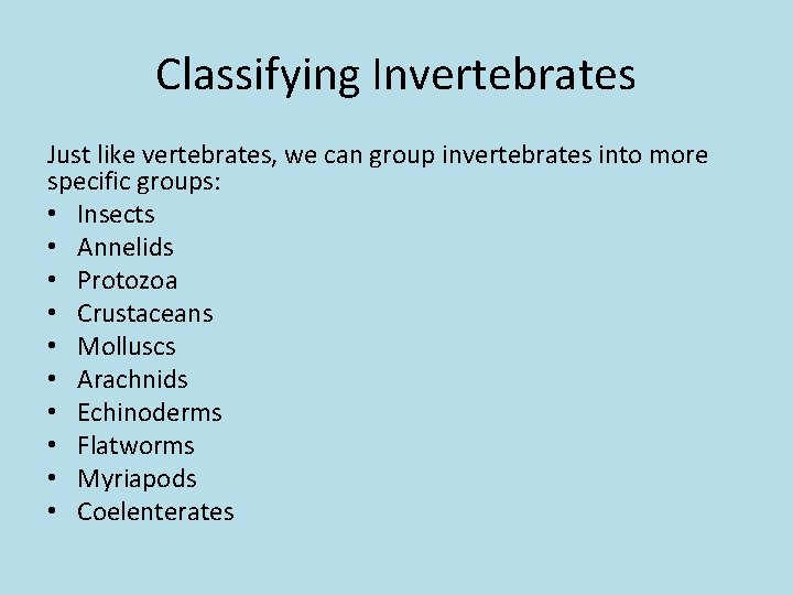Classifying Invertebrates Just like vertebrates, we can group invertebrates into more specific groups: •