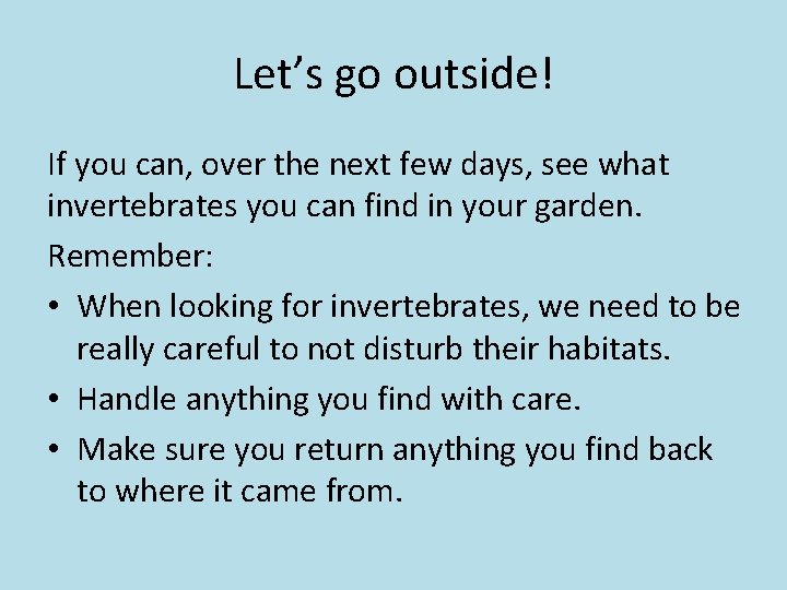 Let’s go outside! If you can, over the next few days, see what invertebrates