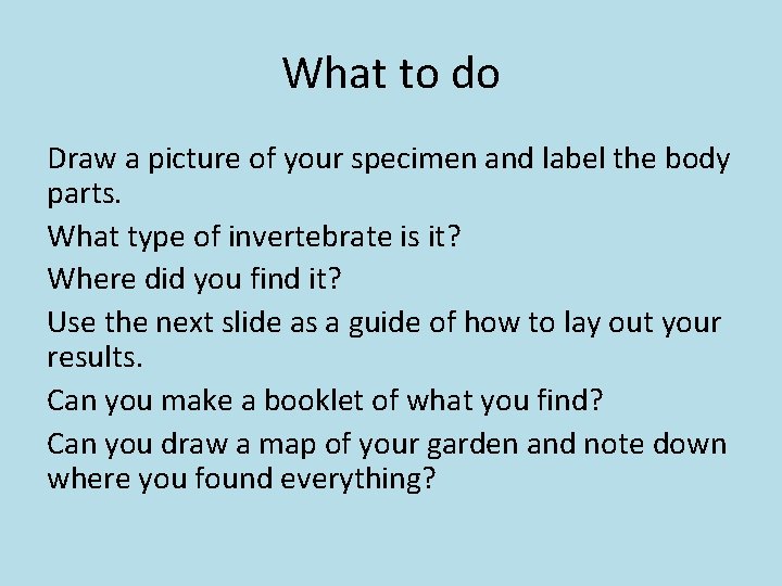 What to do Draw a picture of your specimen and label the body parts.