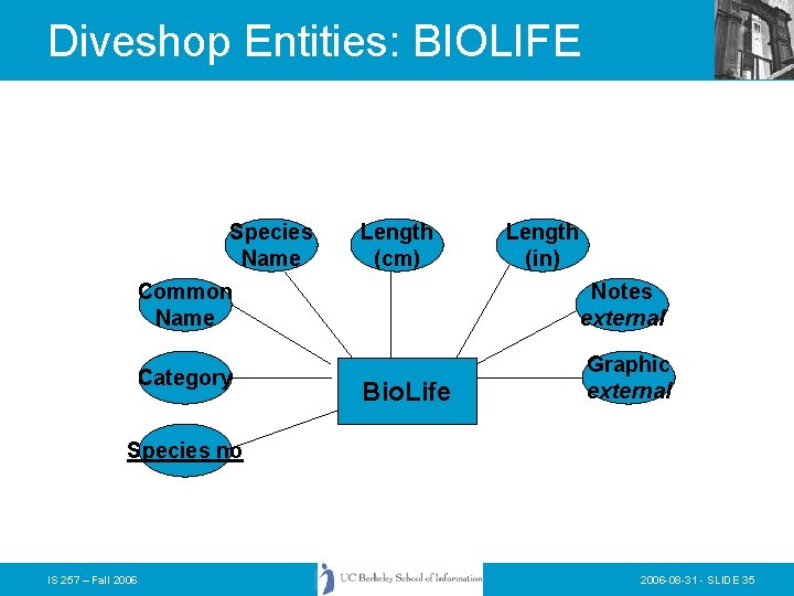 Diveshop Entities: BIOLIFE Species Name Length (cm) Length (in) Common Name Notes external Category