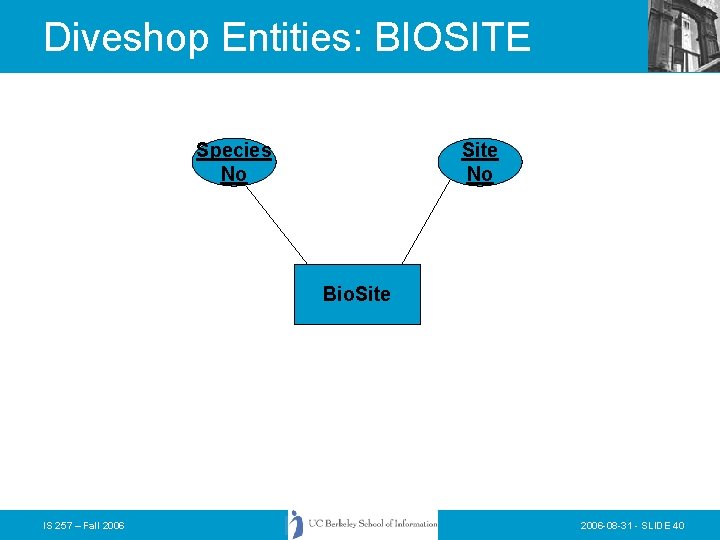Diveshop Entities: BIOSITE Species No Site No Bio. Site IS 257 – Fall 2006