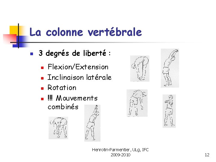 La colonne vertébrale n 3 degrés de liberté : n n Flexion/Extension Inclinaison latérale