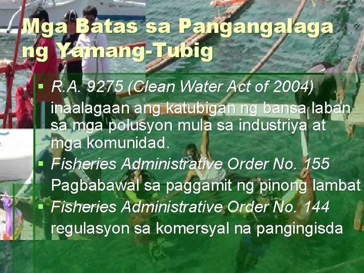 Mga Batas sa Pangangalaga ng Yamang-Tubig § R. A. 9275 (Clean Water Act of