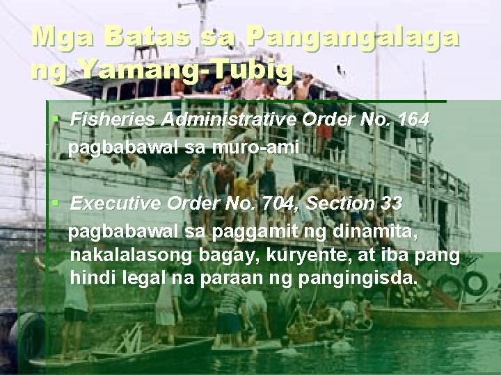 Mga Batas sa Pangangalaga ng Yamang-Tubig § Fisheries Administrative Order No. 164 pagbabawal sa