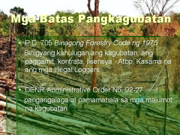 Mga Batas Pangkagubatan § P. D. 705 Binagong Forestry Code ng 1975 Binigyang kahulugan