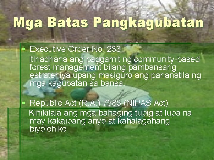 Mga Batas Pangkagubatan § Executive Order No. 263 Itinadhana ang paggamit ng community-based forest