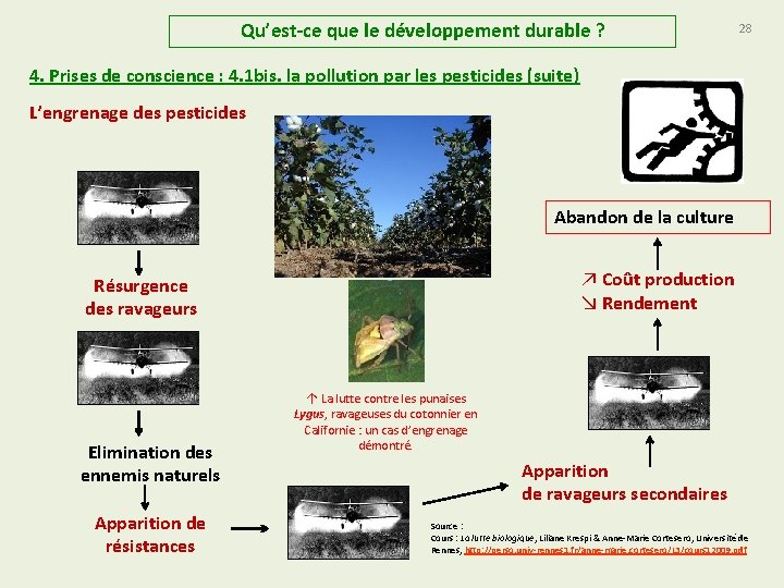 Qu’est-ce que le développement durable ? 28 4. Prises de conscience : 4. 1