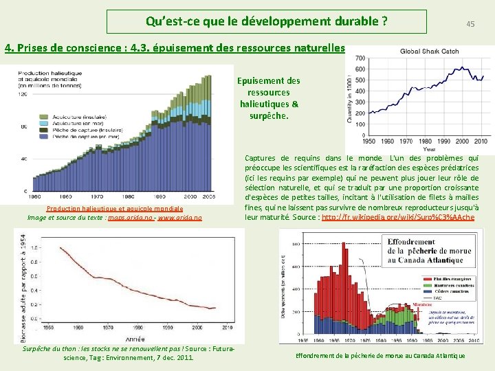 Qu’est-ce que le développement durable ? 45 4. Prises de conscience : 4. 3.