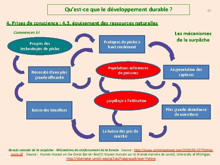 Qu’est-ce que le développement durable ? 47 4. Prises de conscience : 4. 3.