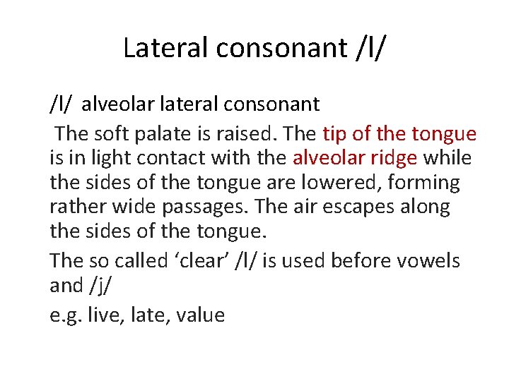 Lateral consonant /l/ alveolar lateral consonant The soft palate is raised. The tip of