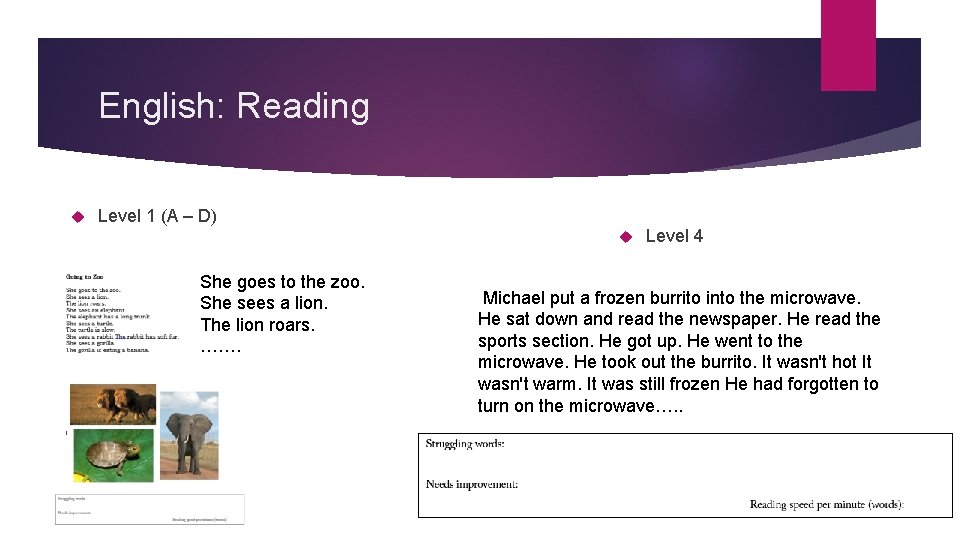 English: Reading Level 1 (A – D) She goes to the zoo. She sees