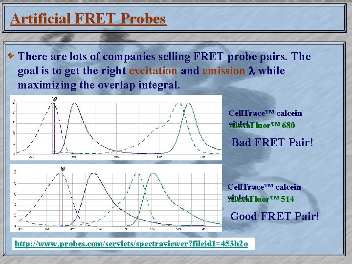 Artificial FRET Probes There are lots of companies selling FRET probe pairs. The goal