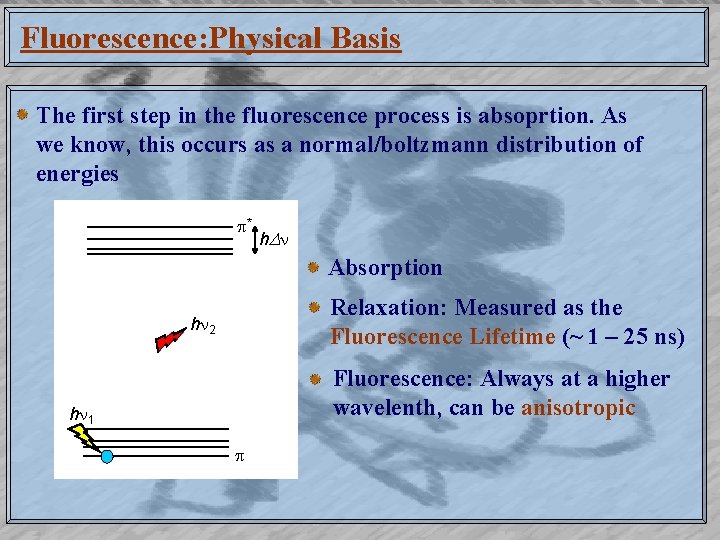 Fluorescence: Physical Basis The first step in the fluorescence process is absoprtion. As we