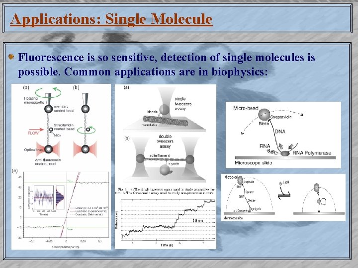 Applications: Single Molecule Fluorescence is so sensitive, detection of single molecules is possible. Common