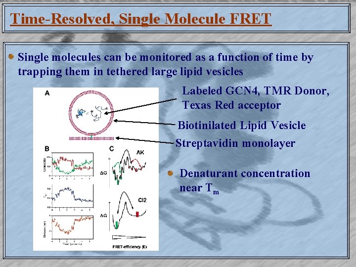 Time-Resolved, Single Molecule FRET Single molecules can be monitored as a function of time