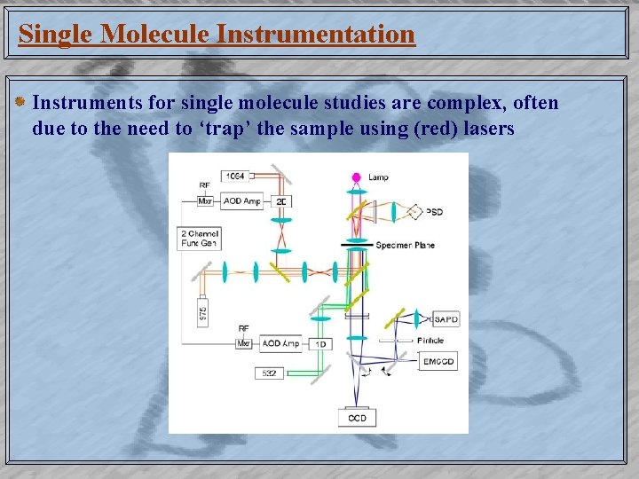 Single Molecule Instrumentation Instruments for single molecule studies are complex, often due to the