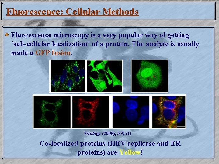Fluorescence: Cellular Methods Fluorescence microscopy is a very popular way of getting ‘sub-cellular localization’