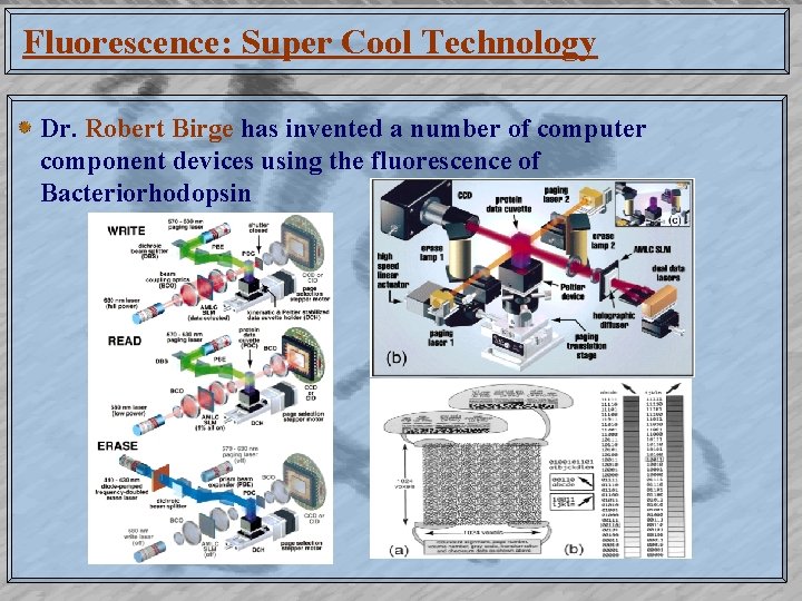 Fluorescence: Super Cool Technology Dr. Robert Birge has invented a number of computer component