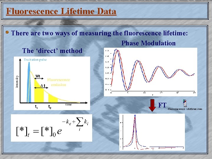 Fluorescence Lifetime Data There are two ways of measuring the fluorescence lifetime: Phase Modulation