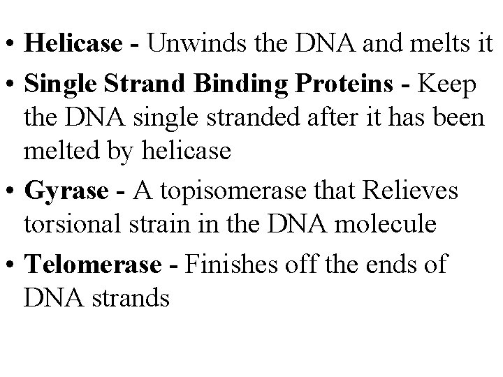 • Helicase - Unwinds the DNA and melts it • Single Strand Binding