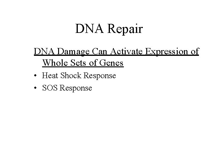 DNA Repair DNA Damage Can Activate Expression of Whole Sets of Genes • Heat