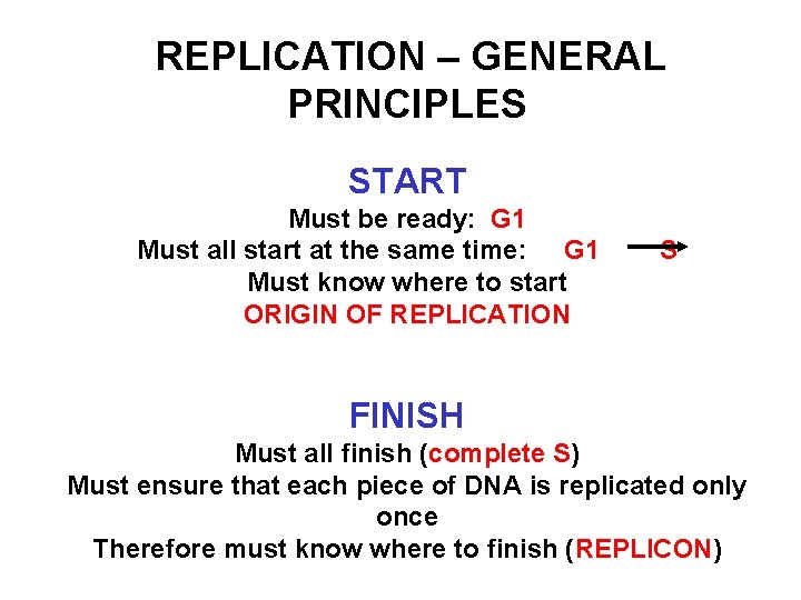 REPLICATION – GENERAL PRINCIPLES START Must be ready: G 1 Must all start at