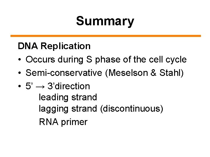 Summary DNA Replication • Occurs during S phase of the cell cycle • Semi-conservative