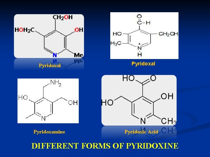 Pyridoxol Pyridoxamine Pyridoxal Pyridoxic Acid DIFFERENT FORMS OF PYRIDOXINE 