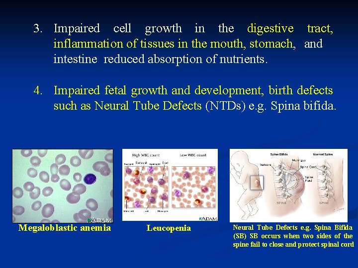 3. Impaired cell growth in the digestive tract, inflammation of tissues in the mouth,