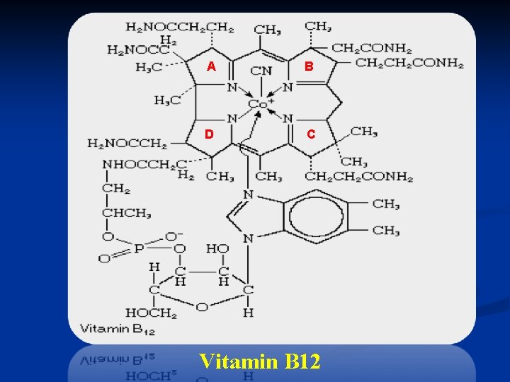 A B D C Vitamin B 12 
