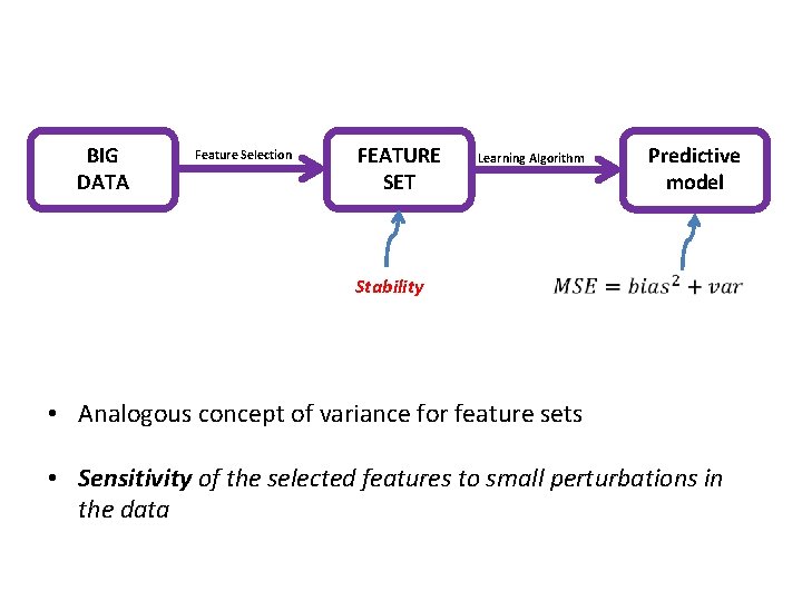 BIG DATA Feature Selection FEATURE SET Stability Learning Algorithm Predictive model • Analogous concept
