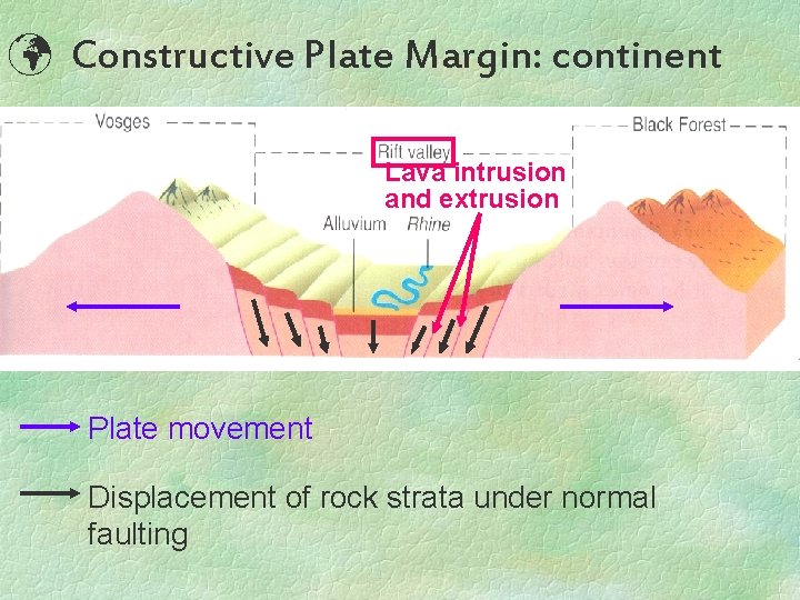  Constructive Plate Margin: continent Lava intrusion and extrusion Plate movement Displacement of rock