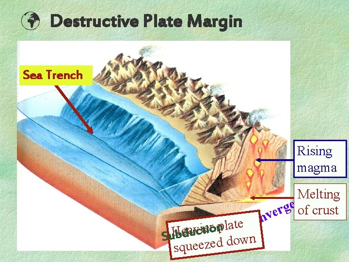  Destructive Plate Margin Sea Trench Rising magma n o c e t lates