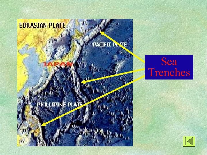 Sea Trenches 