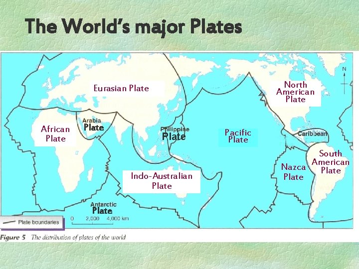 The World’s major Plates North American Plate Eurasian Plate African Plate Indo-Australian Australia Plate